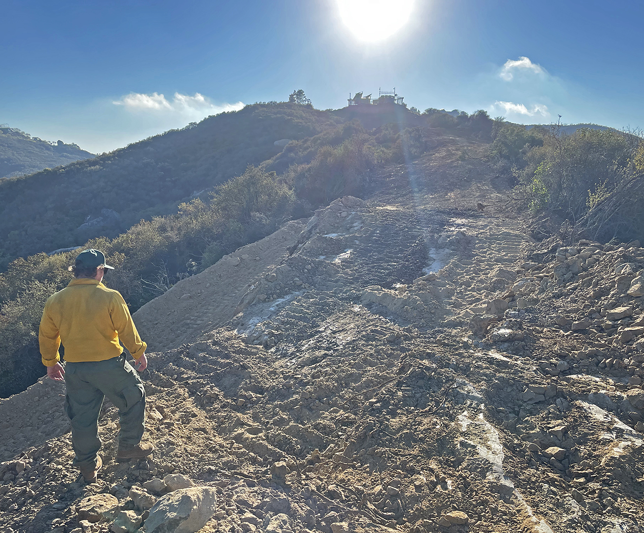 Post-fire recovery